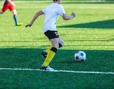 德媒称诺伊,尔盛赞乌尔,比希适应力,8波足球比分,8波比分官网,8波体育,8波网页版,8波app下载电脑版