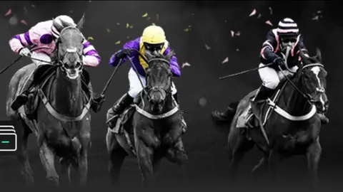 “2025赛季球员赛：丁俊晖领衔五将竞逐，张安荣获亚军盛誉”