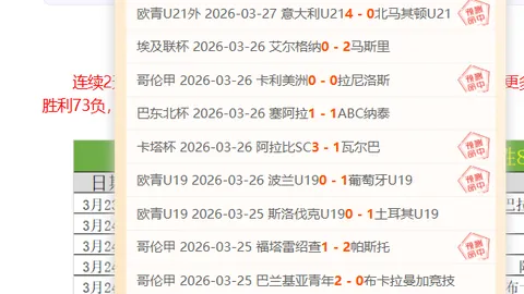 普拉斯加盟霍芬海姆，转会金1100-1200万欧可额外追加